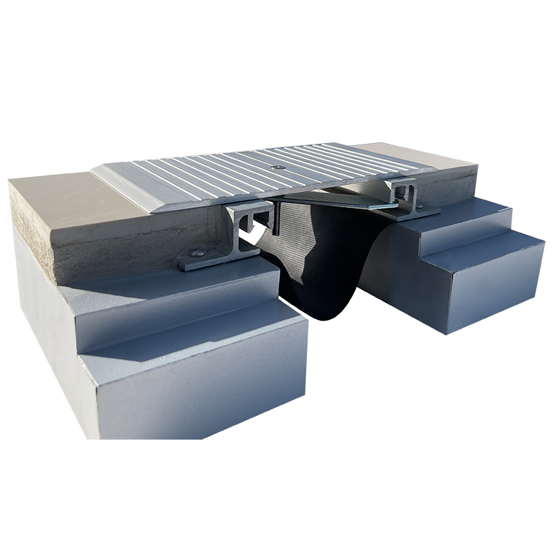 Metal Floor Expansion Joint Cover MSDG