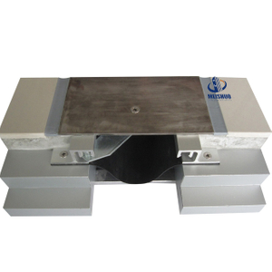 Metal Floor Expansion Joint Cover MSDGCP