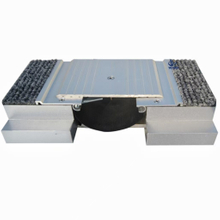 Flush Floor Expansion Joint Covers MSDGP-1