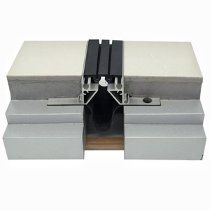 Recessed Mount Floor Expansion Joints MSDDJ-1