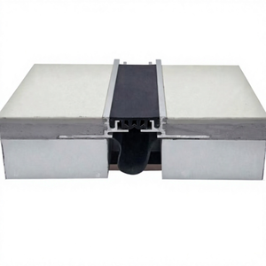 Flush Gasketed Floor Expansion Joints MSDDJF