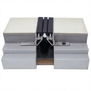 Recessed Mount Floor Expansion Joints MSDDJ-1