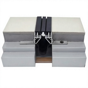 Recessed Mount Floor Expansion Joints MSDDJ-1